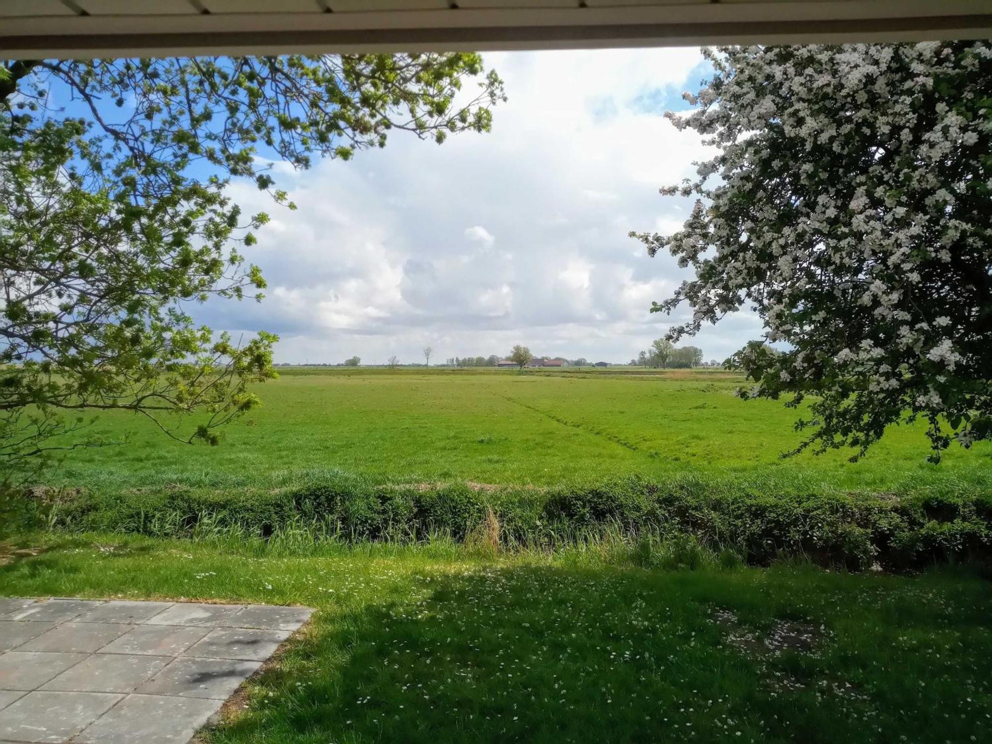 Fischerhaus Am Deich 45233 Jemgum Dış mekan fotoğraf